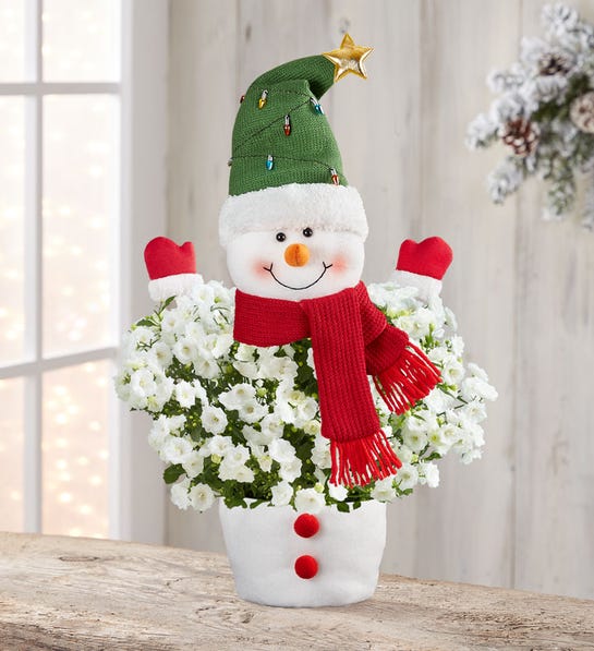 Frosty the Snowplant + Free Candle