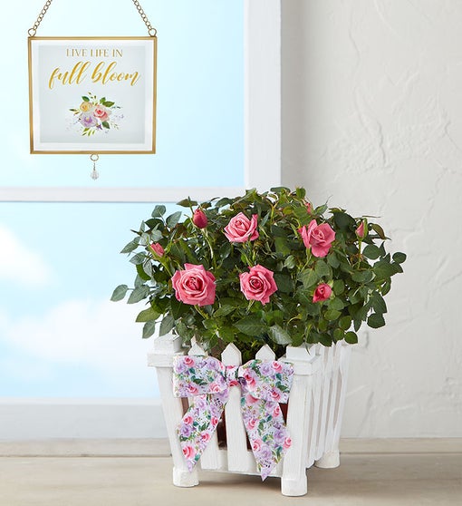 Charming Rose Garden
 Flower Bouquet