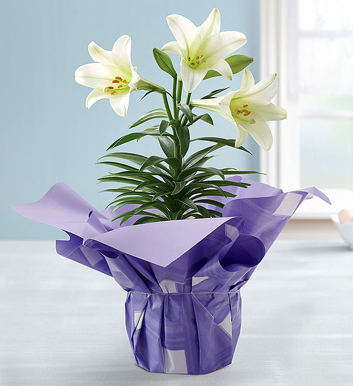 10 Inch Easter Lily Flower Bouquet