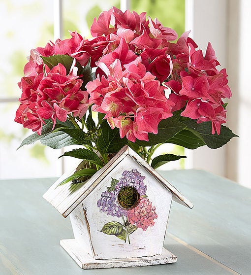 Bird House of Blooms®
 Flower Bouquet