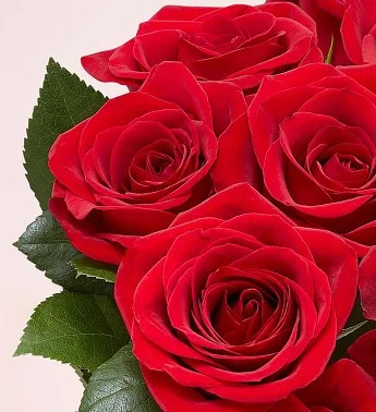 One Dozen Red Roses for Mother's Day Flower Bouquet
