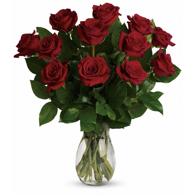 My True Love Bouquet with 12 Long Stemmed Red Roses in South Lake Tahoe ...