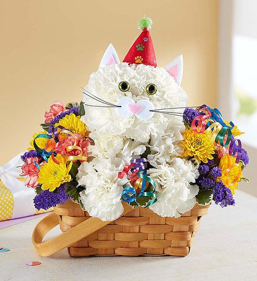Purrfect Party - Birthday Cat Flower Basket