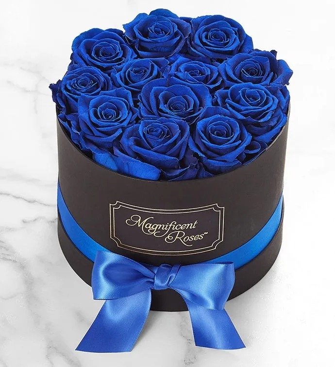 Magnificent Roses Preserved  Blue Velvet Roses