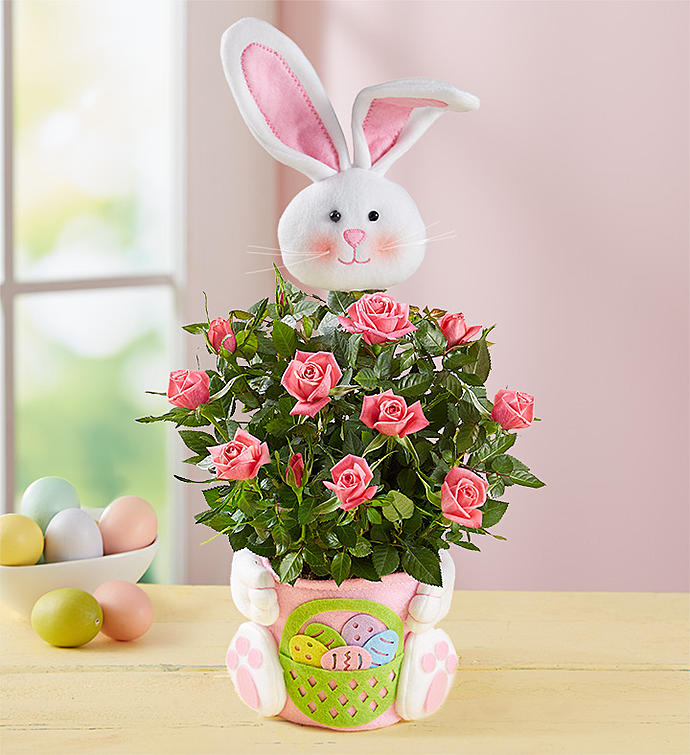 Easter Bunny Blooms
