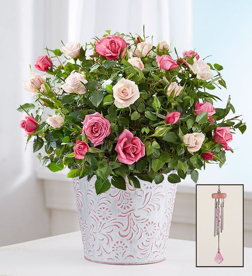 Summer Bi-Color Rose Garden Flower Bouquet