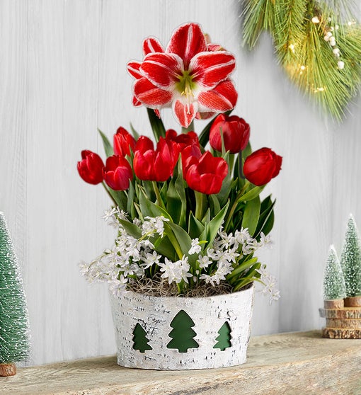 Holiday Charm Bulb Garden + Free Candle Flower Bouquet