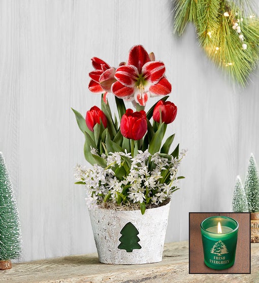 Holiday Charm Bulb Garden + Free Candle Flower Bouquet
