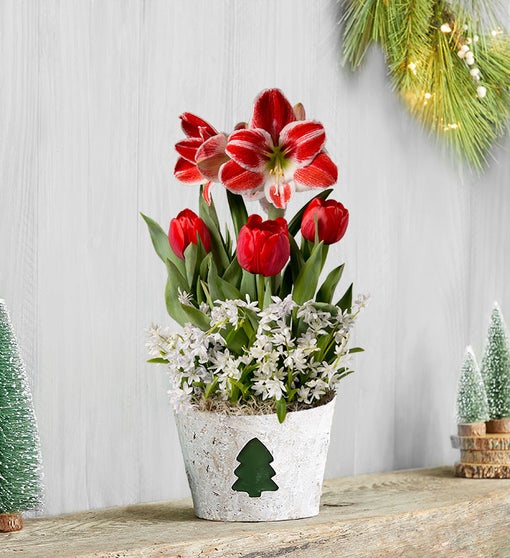 Holiday Charm Bulb Garden + Free Candle