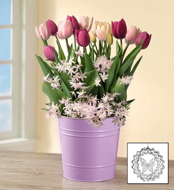 Sweet Spring Blooms Bulbs + Free Suncatcher
 Flower Bouquet