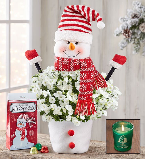 Frosty The Snow Plant + Free Candle