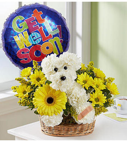 Sick As a Dog Flower Basket with Balloon