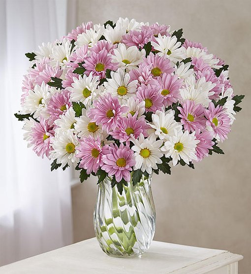 Lovely Daisy Bouquet
 Flower Bouquet
