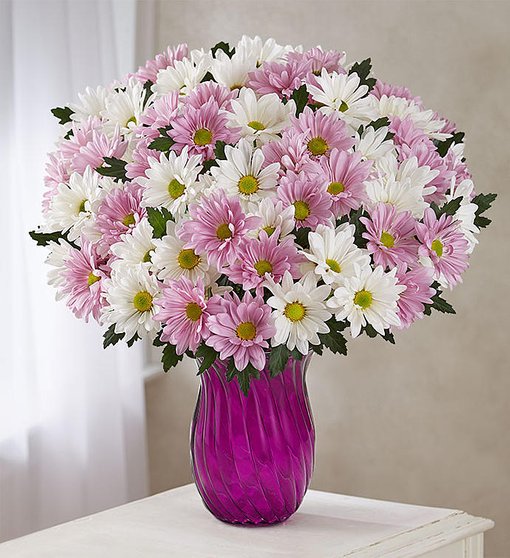 Lovely Daisy Bouquet
 Flower Bouquet