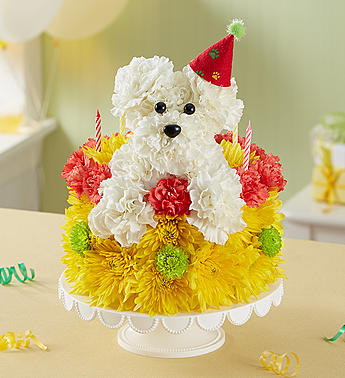 Birthday Wishes Flower Cake™ Pupcake™