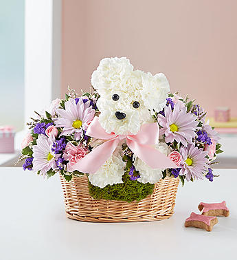 It’s a-DOG-able® Boy or Girl - New Baby Dog Flower Basket Flower Bouquet
