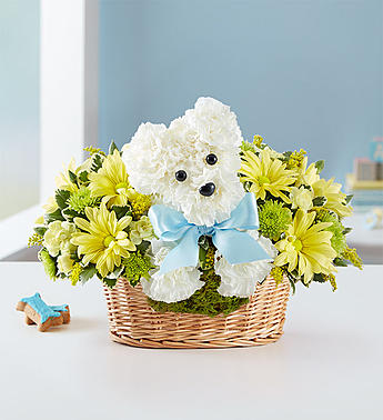 It’s a-DOG-able® Boy or Girl - New Baby Dog Flower Basket