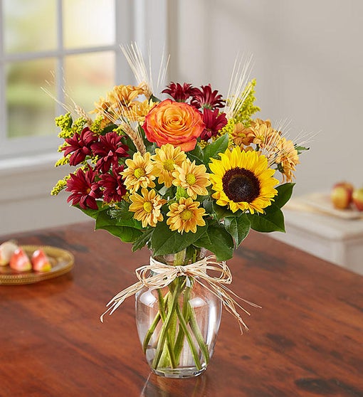 Fields of Europe™ for Fall | 1800Flowers.com - 167664