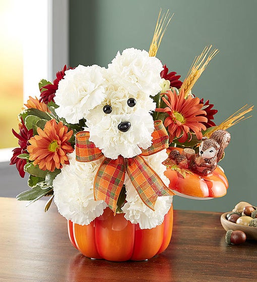 a-DOG-able for Fall - Floral Dog in a Pumpkin