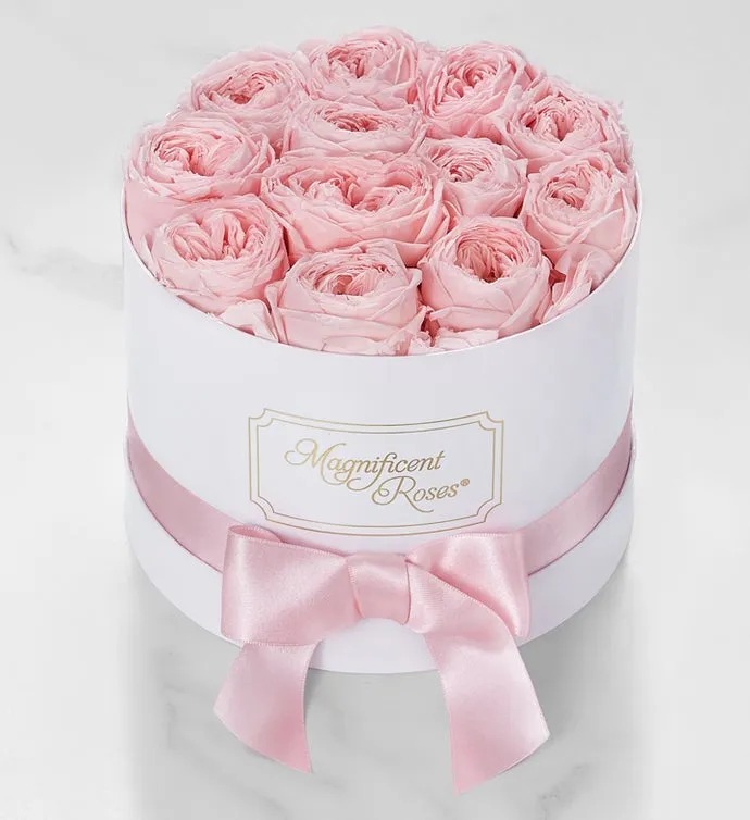Magnificent Roses® Preserved Pink Garden Roses

