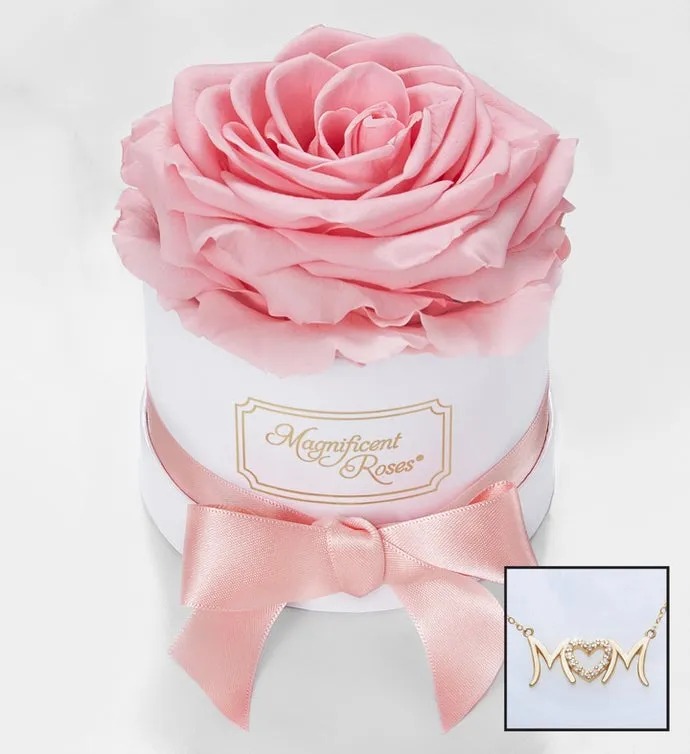 Magnificent Roses® Preserved Pink Rose and Necklace
 Flower Bouquet