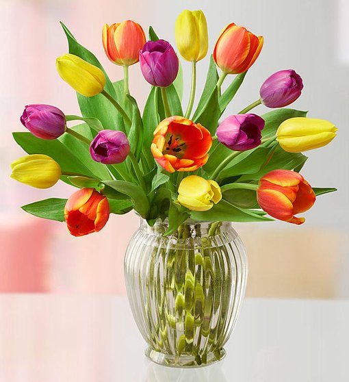 Assorted Tulips Flower Bouquet