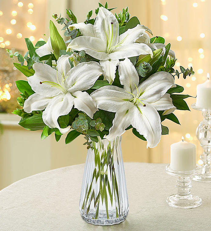 All White Lilies + Free Vase
 Flower Bouquet