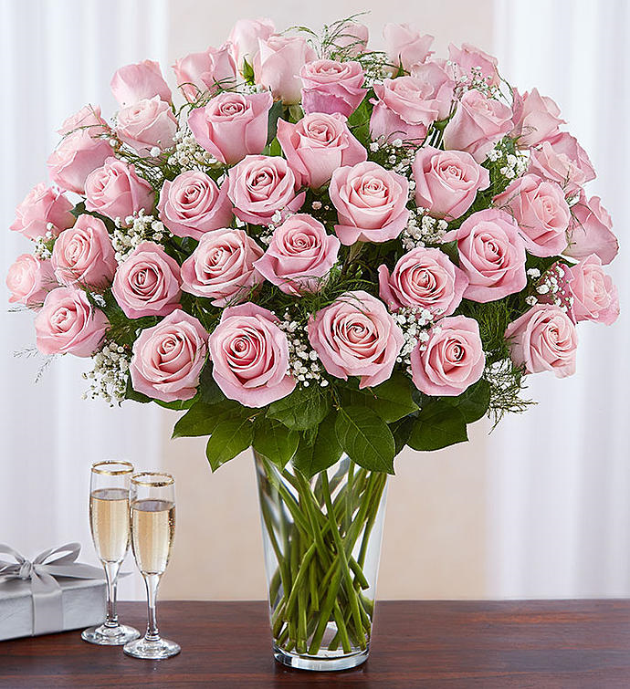 Ultimate Pink Roses 24,36,48 Flower Delivery Deerfield Beach FL ...