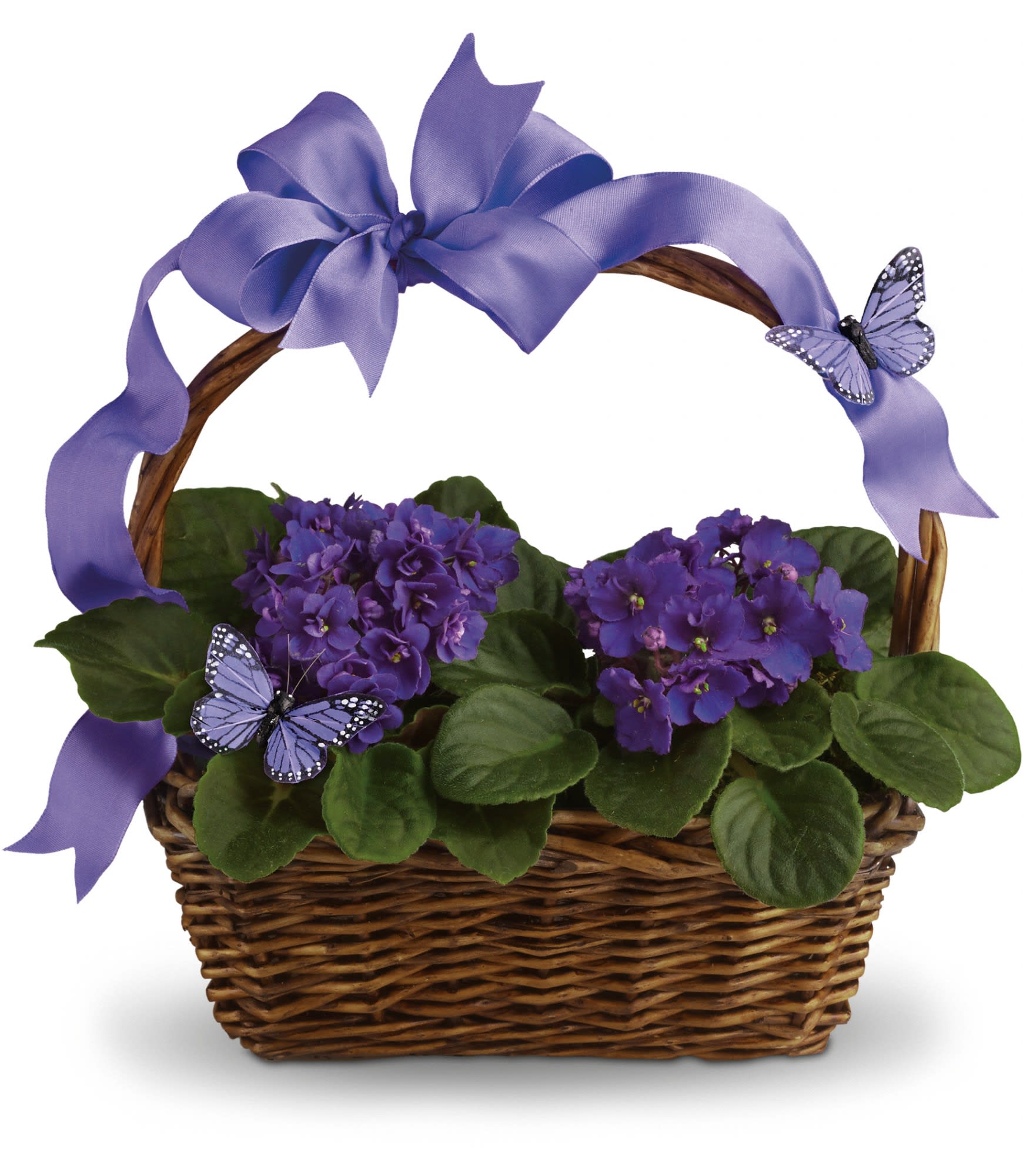 Violets and Butterflies in a basket (basket design will vary) Flower Bouquet