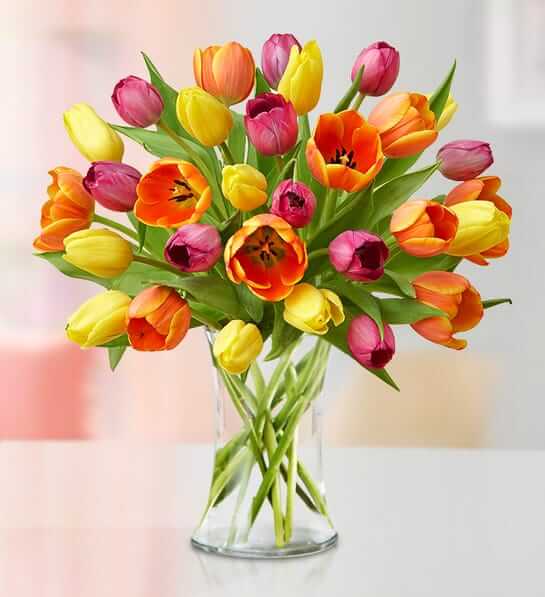 Mother's Day Radiant Tulips Flower Bouquet