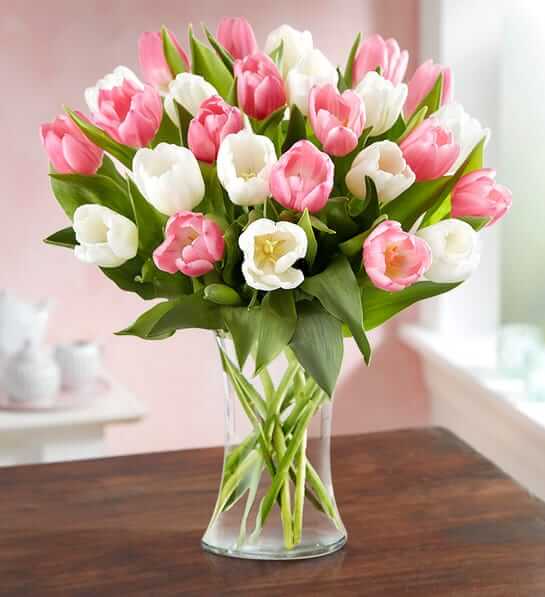 Sweet Spring Tulip Bouquet Flower Bouquet