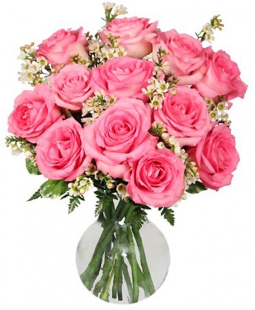 Chantilly Pink Roses