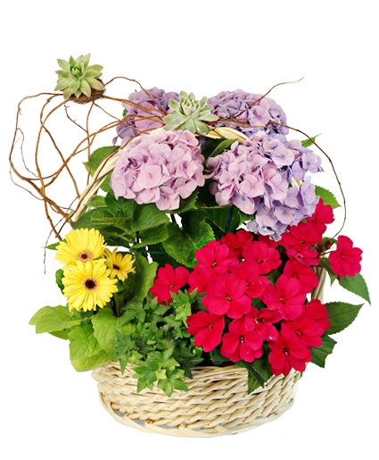 Charming Garden   Basket Flower Bouquet