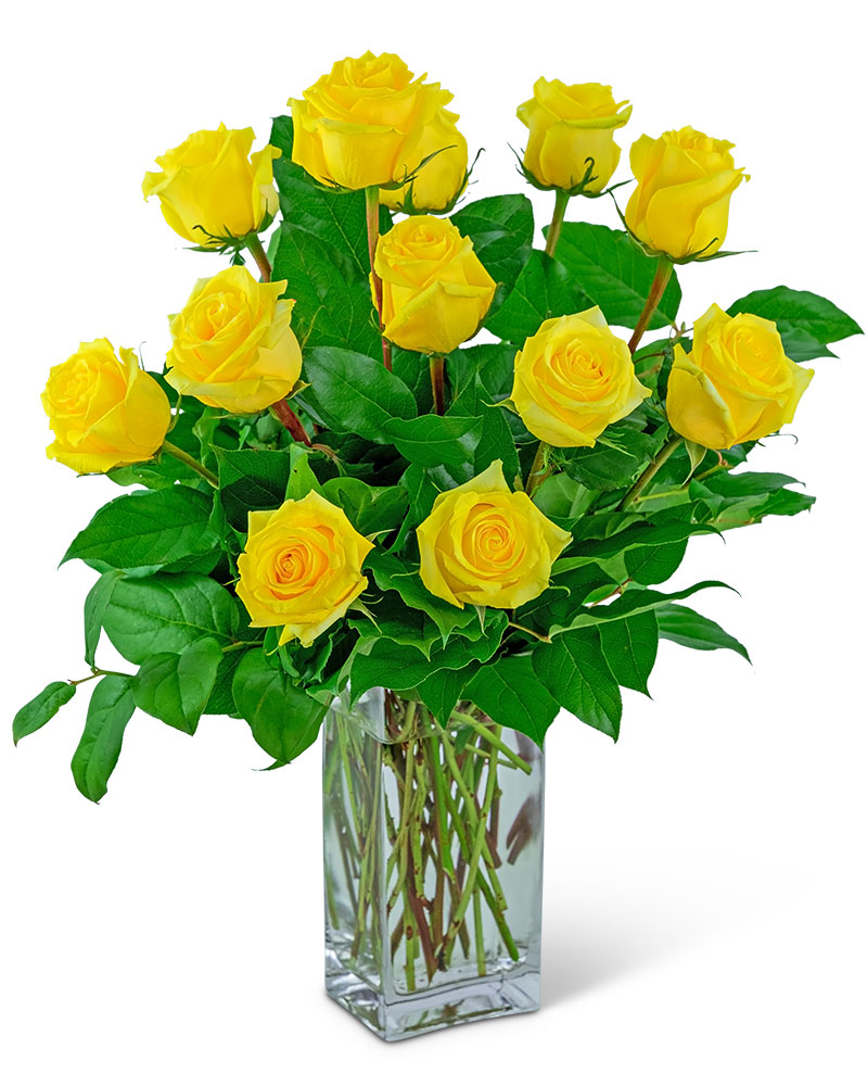 Yellow Roses (12) Flower Bouquet