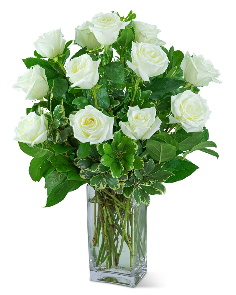 White Roses (12) Flower Bouquet