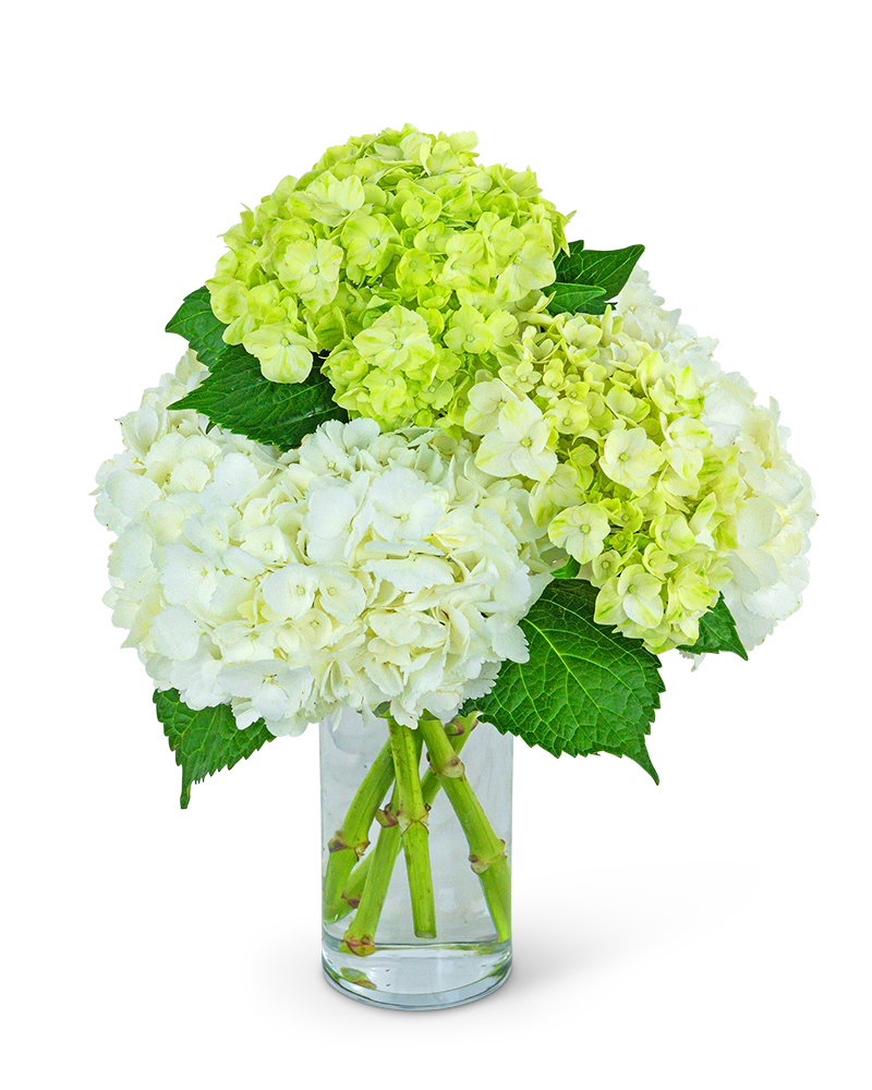 Cashmere and Mint Flower Bouquet