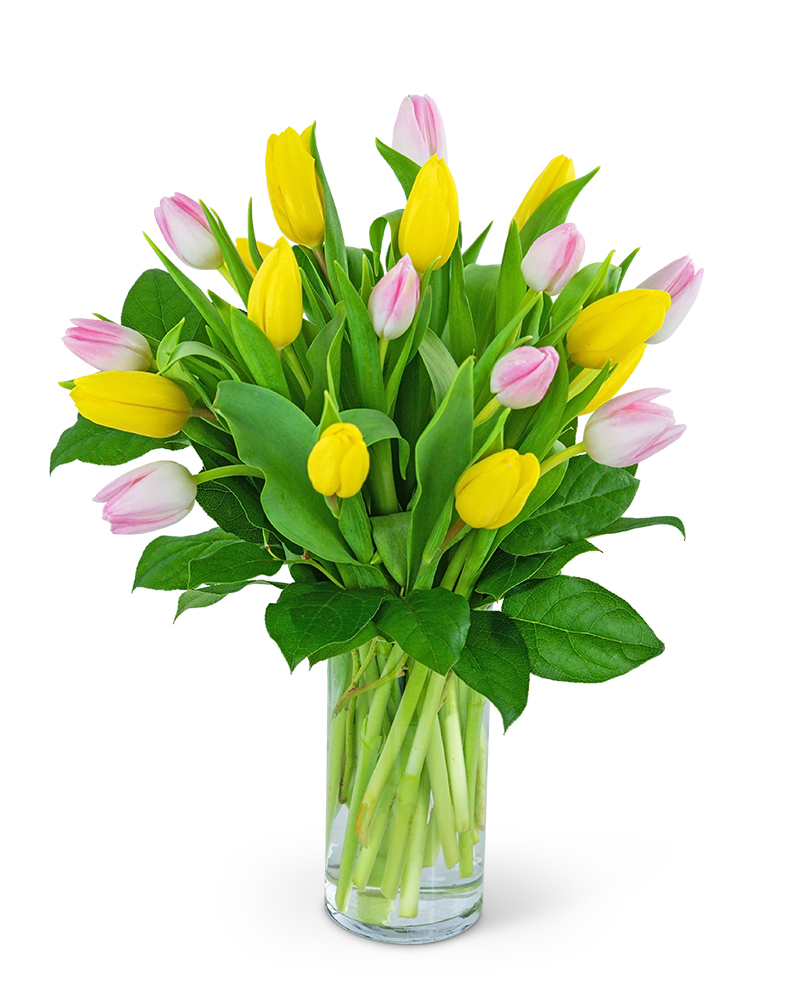 The Sweet Tulips » Send Flower Bouquets