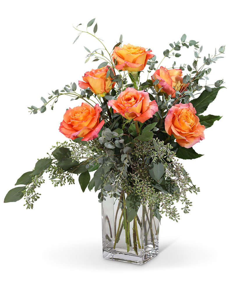 Free Spirit Roses (6) Flower Bouquet