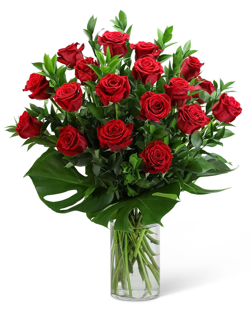 Red Roses with Modern Foliage (18) Flower Bouquet