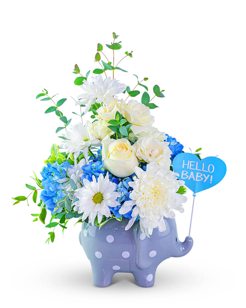 Little Elliot in Blue Flower Bouquet
