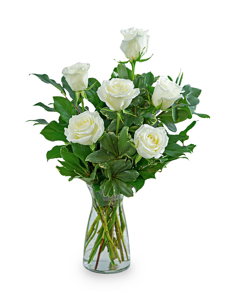 White Roses (6) Flower Bouquet