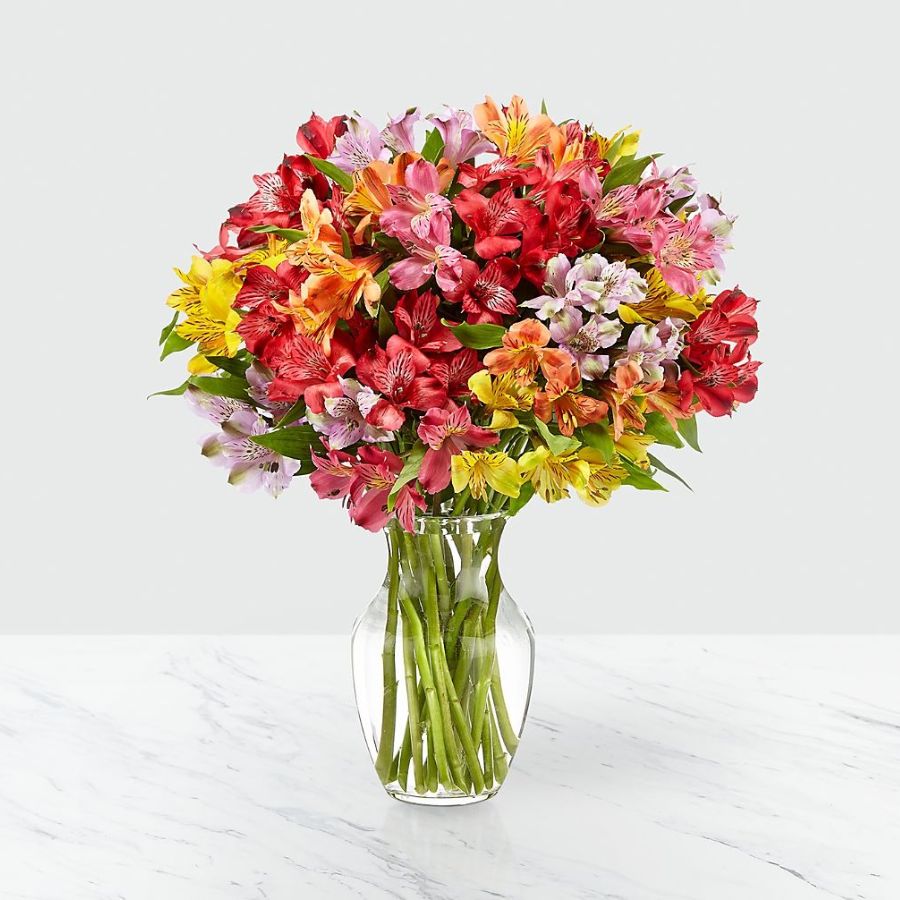 Rainbow Discovery Peruvian Lily Bouquet - 100 Blooms with Vase
 Flower Bouquet