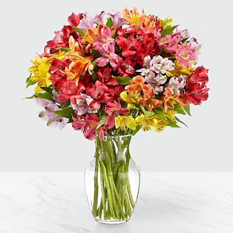 Rainbow Discovery Peruvian Lily Bouquet - 100 Blooms with Vase
