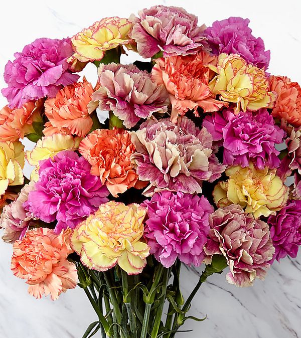 Sweet CarnationsBouquet 