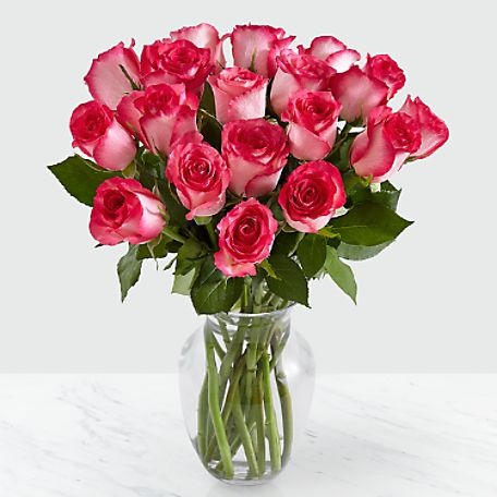 18 Pink Milkshake Roses
