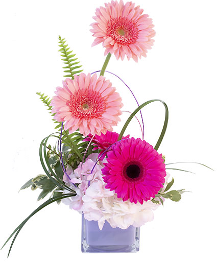 Gerbera Daisy Silk Centerpiece 