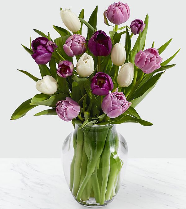 Darling Lavender & White Tulips with Vase