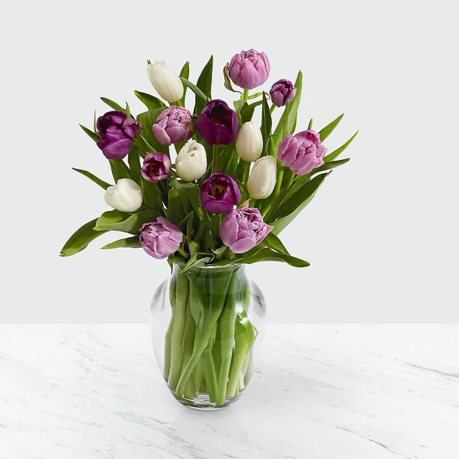 15 Darling Lavender & White Tulips with Vase