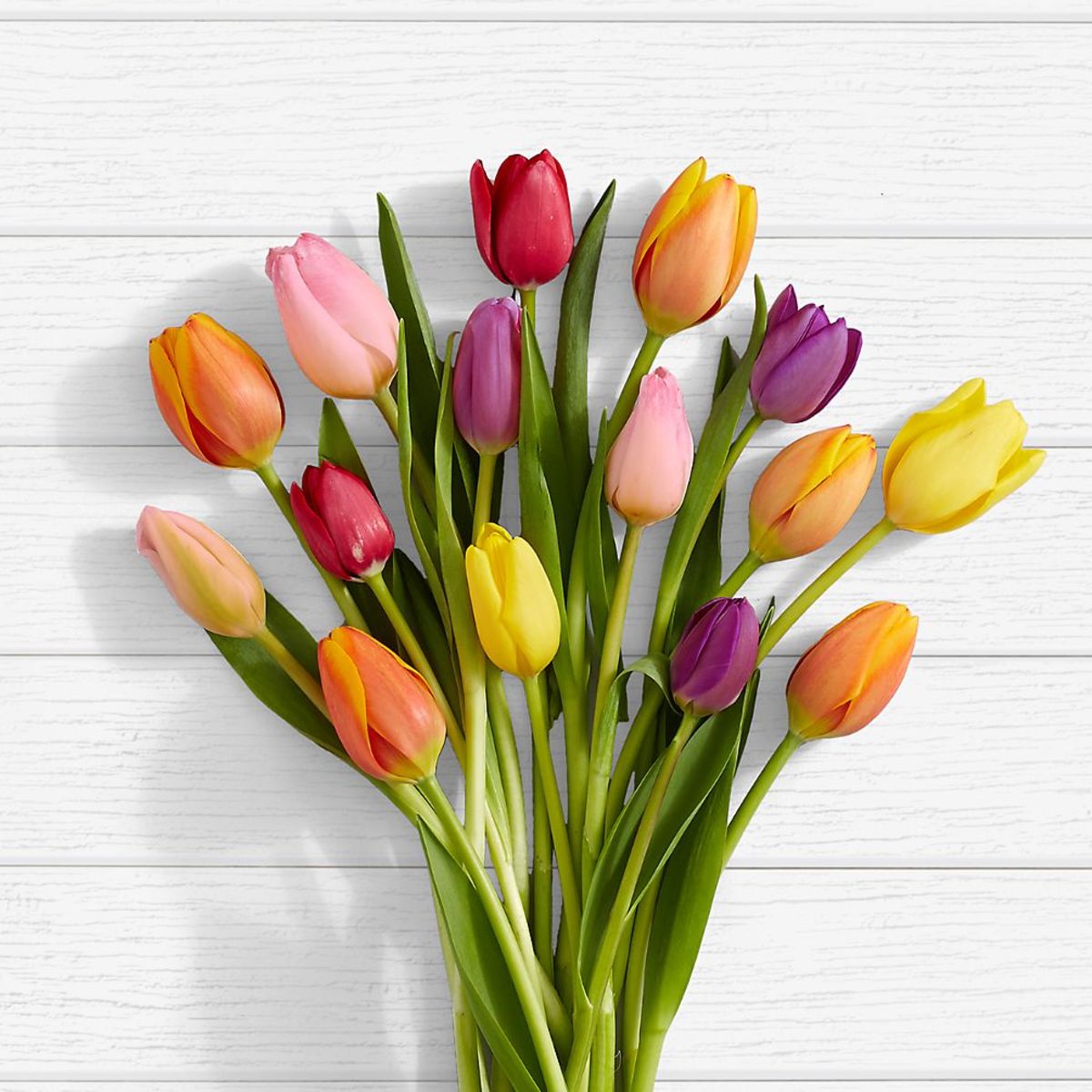 Rush of Color Assorted Tulip Bouquet - 30 Stems with Vase