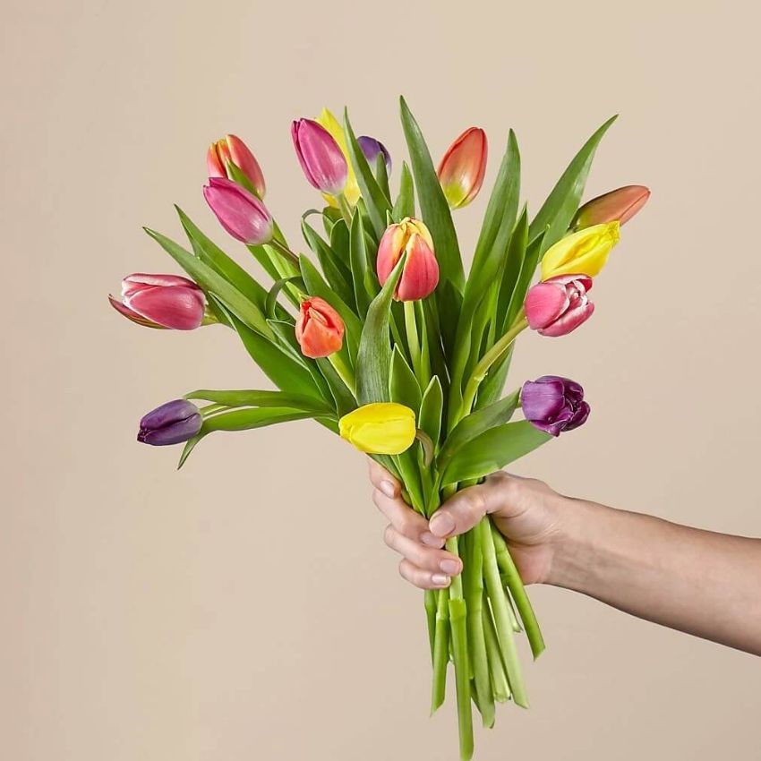 15 Stem Spring Breeze Multicolored Tulip Bouquet With Vase
